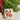 Mini Retro Snowmen Cookies